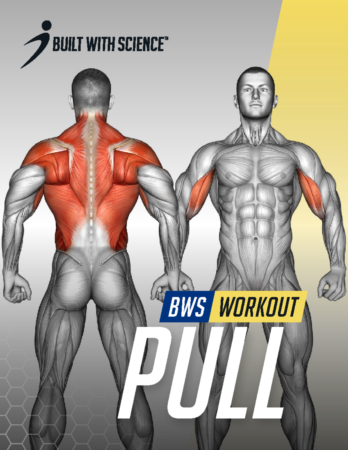 PULL Workout - Studocu