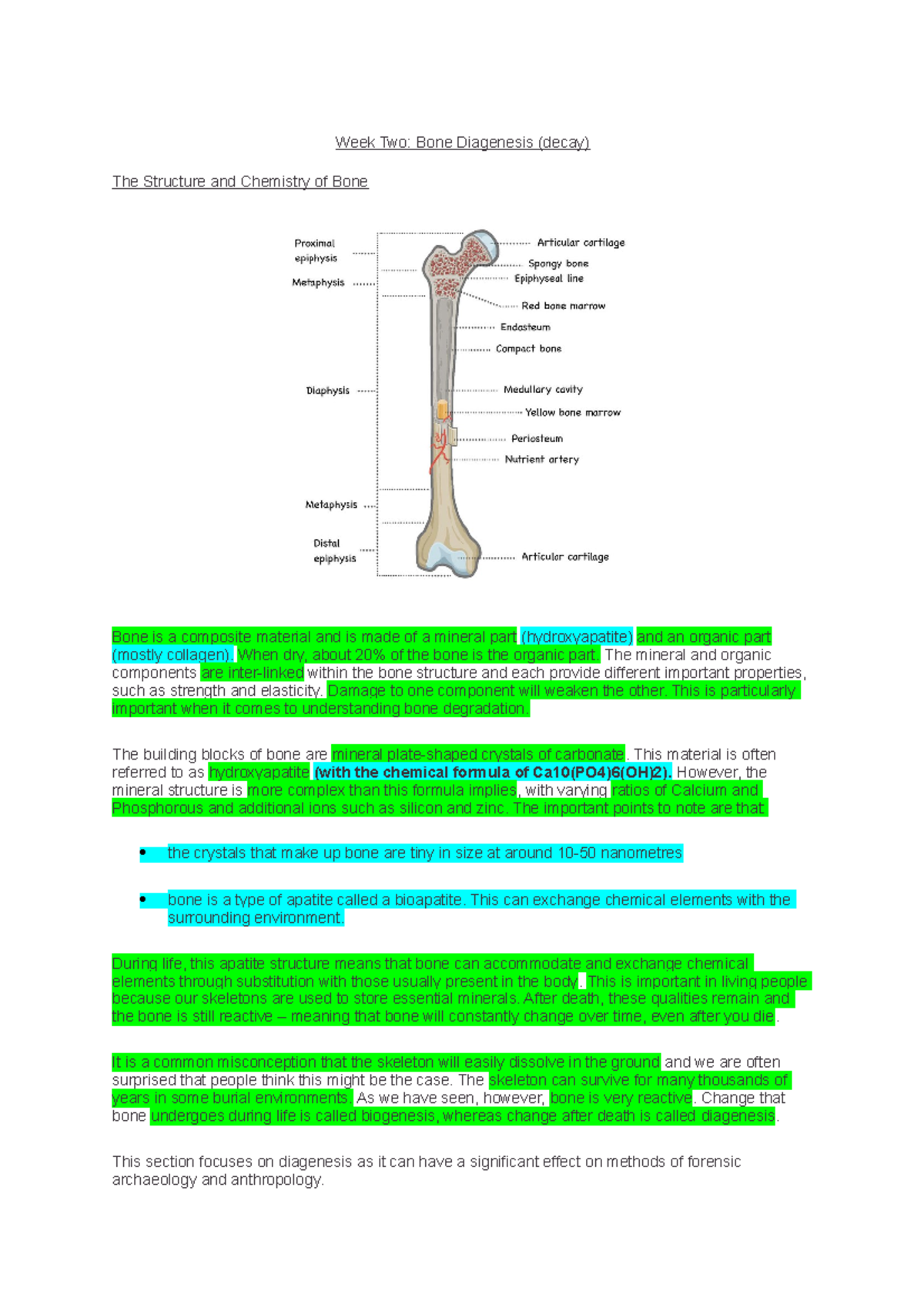 Week Two: Week Two: Bone Diagenesis (decay) - Week Two: Bone Diagenesis ...