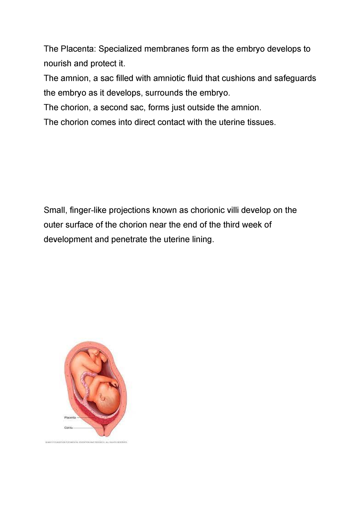 Placenta Bio Exam N The Placenta Specialized Membranes Form As The Embryo Develops To Nourish