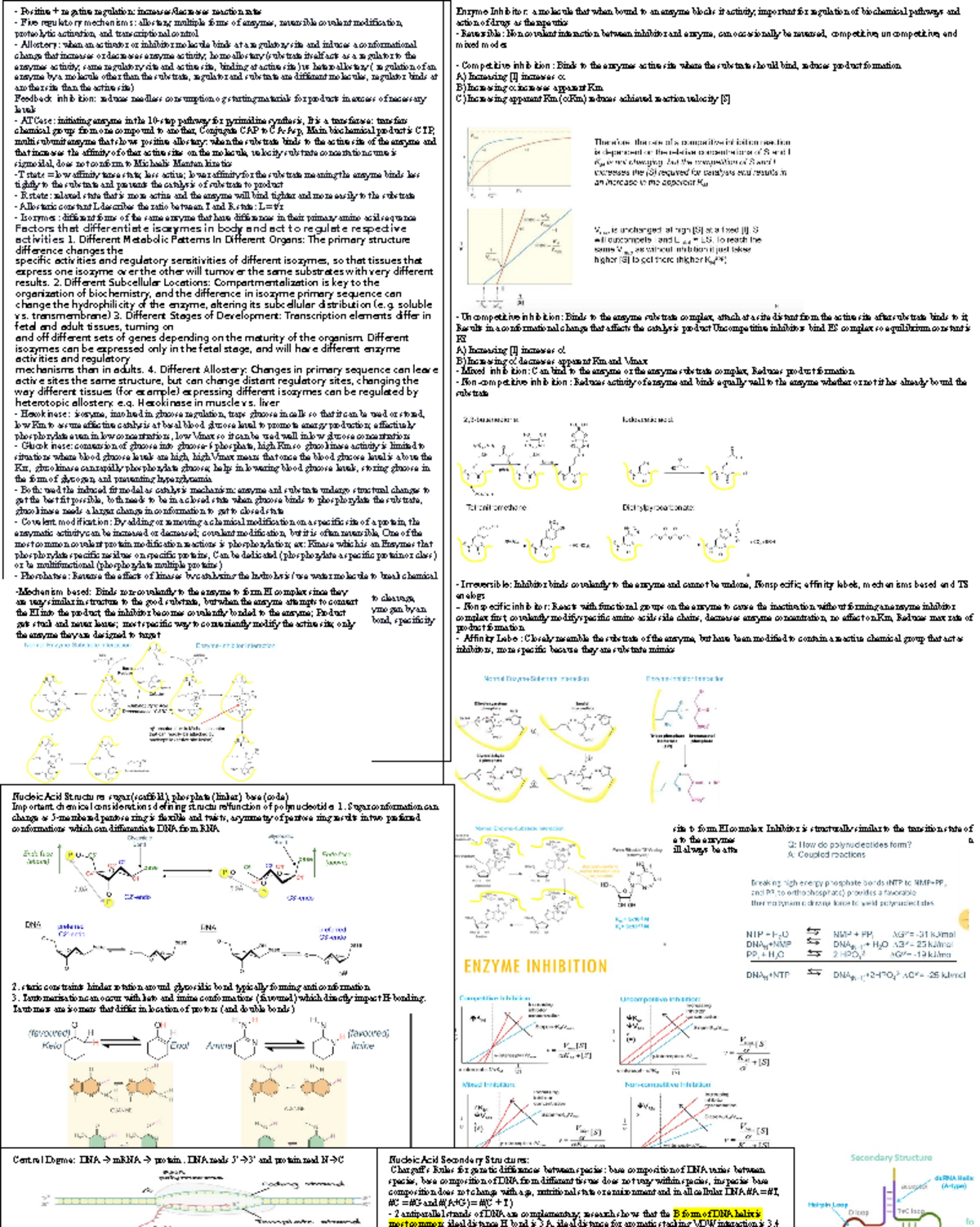 Cheat Sheet for biochem2333 Rachel Final Exam - Positive + negative ...