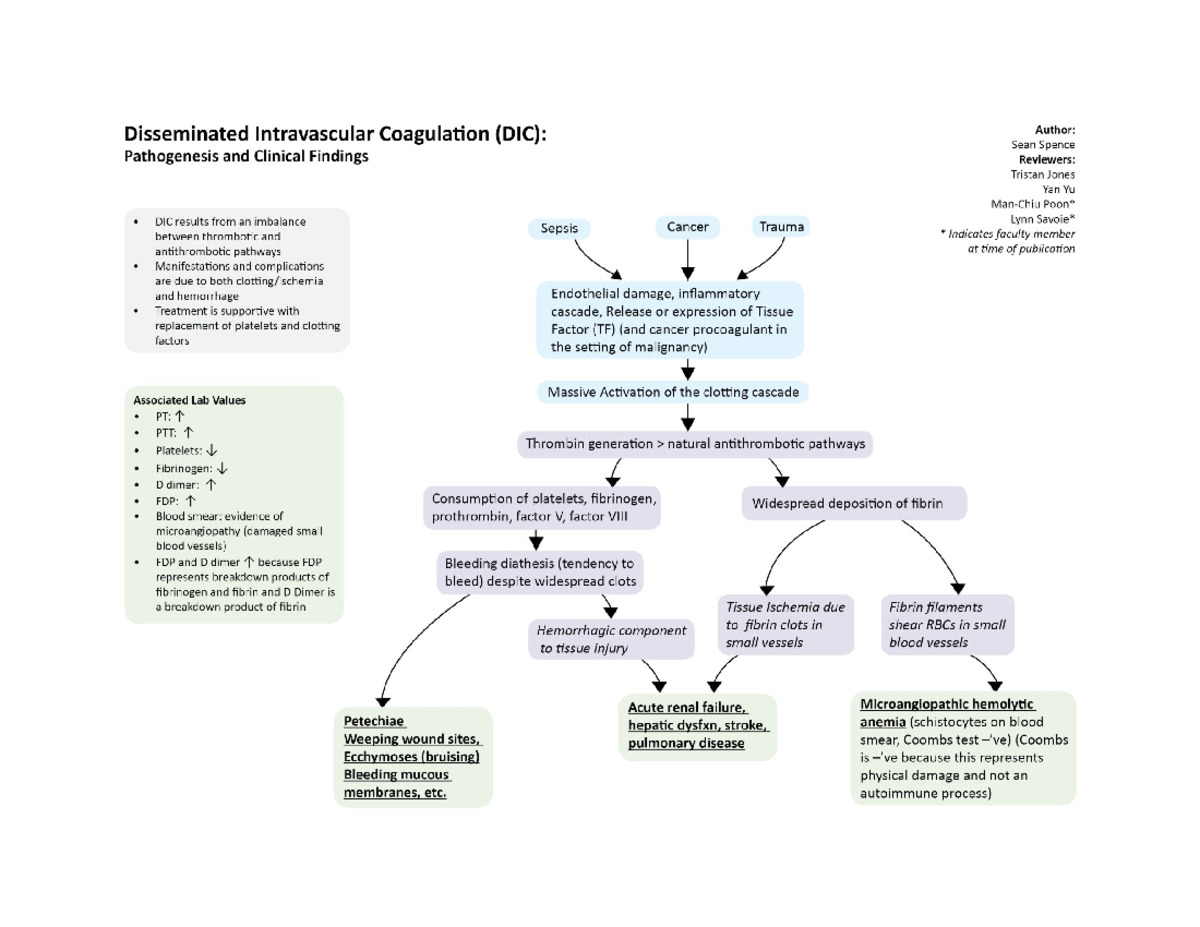 DICPathophysiology - Info on DIC - Disseminated Intravascular ...