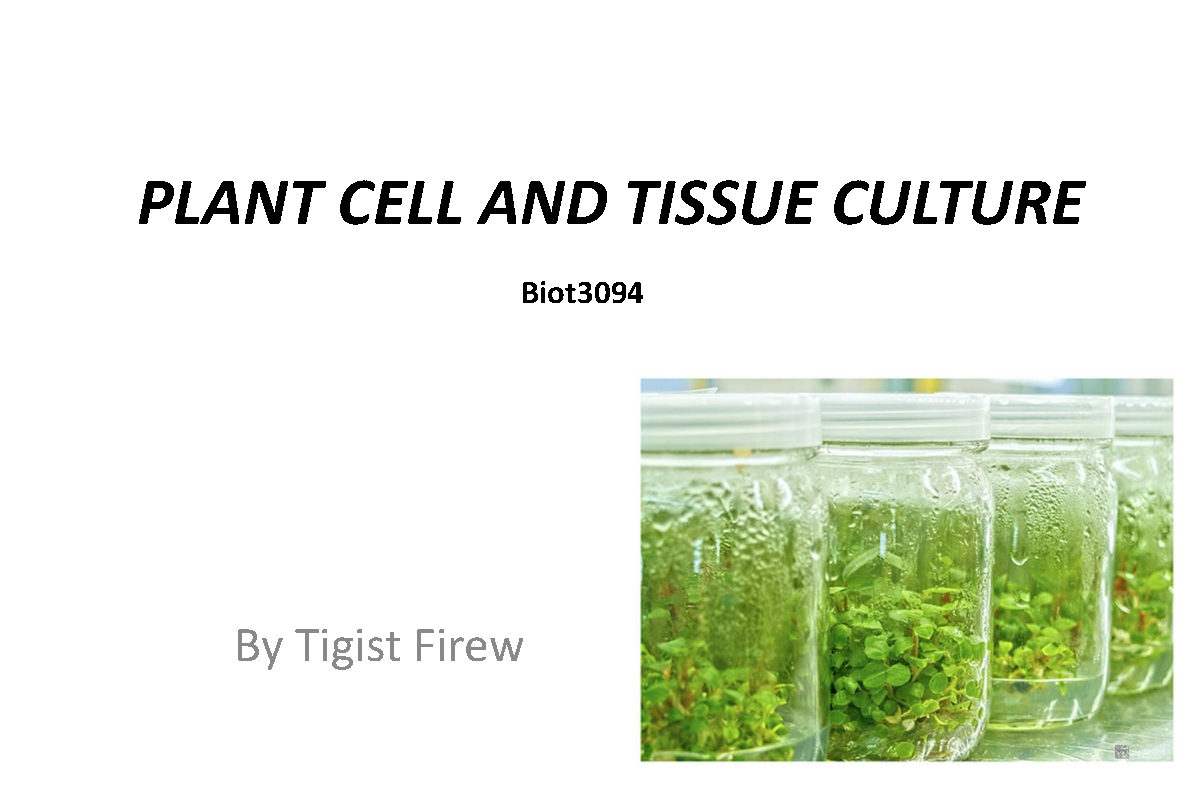 Plant CELL AND Tissue Culture - PLANT CELL AND TISSUE CULTURE By Tigist ...