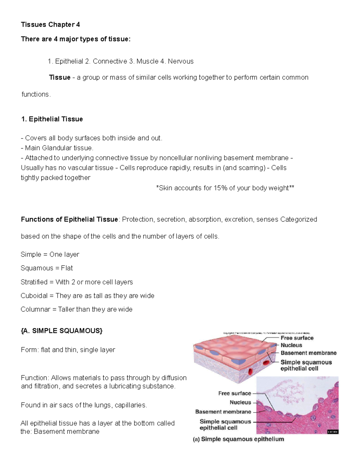Ch 04 tissue - Tissues Chapter 4 There are 4 major types of tissue ...