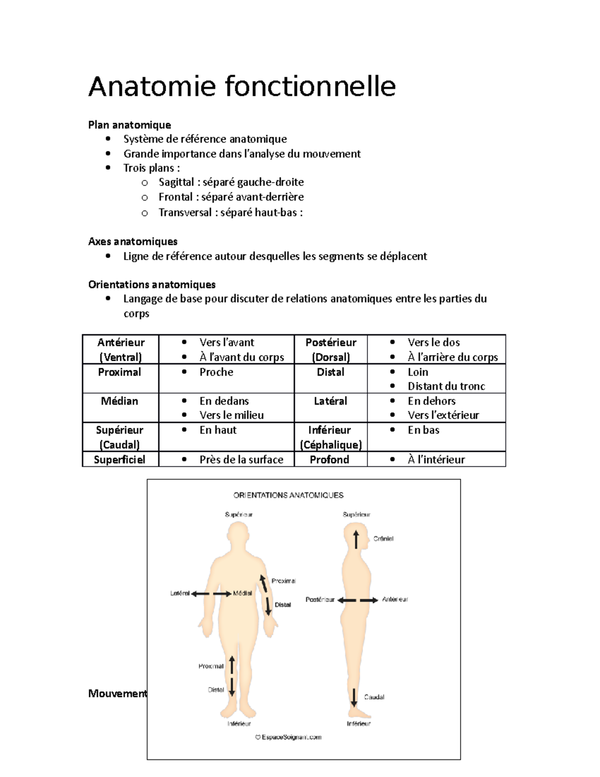 Sommaire - notes - Anatomie fonctionnelle Plan anatomique Système de ...