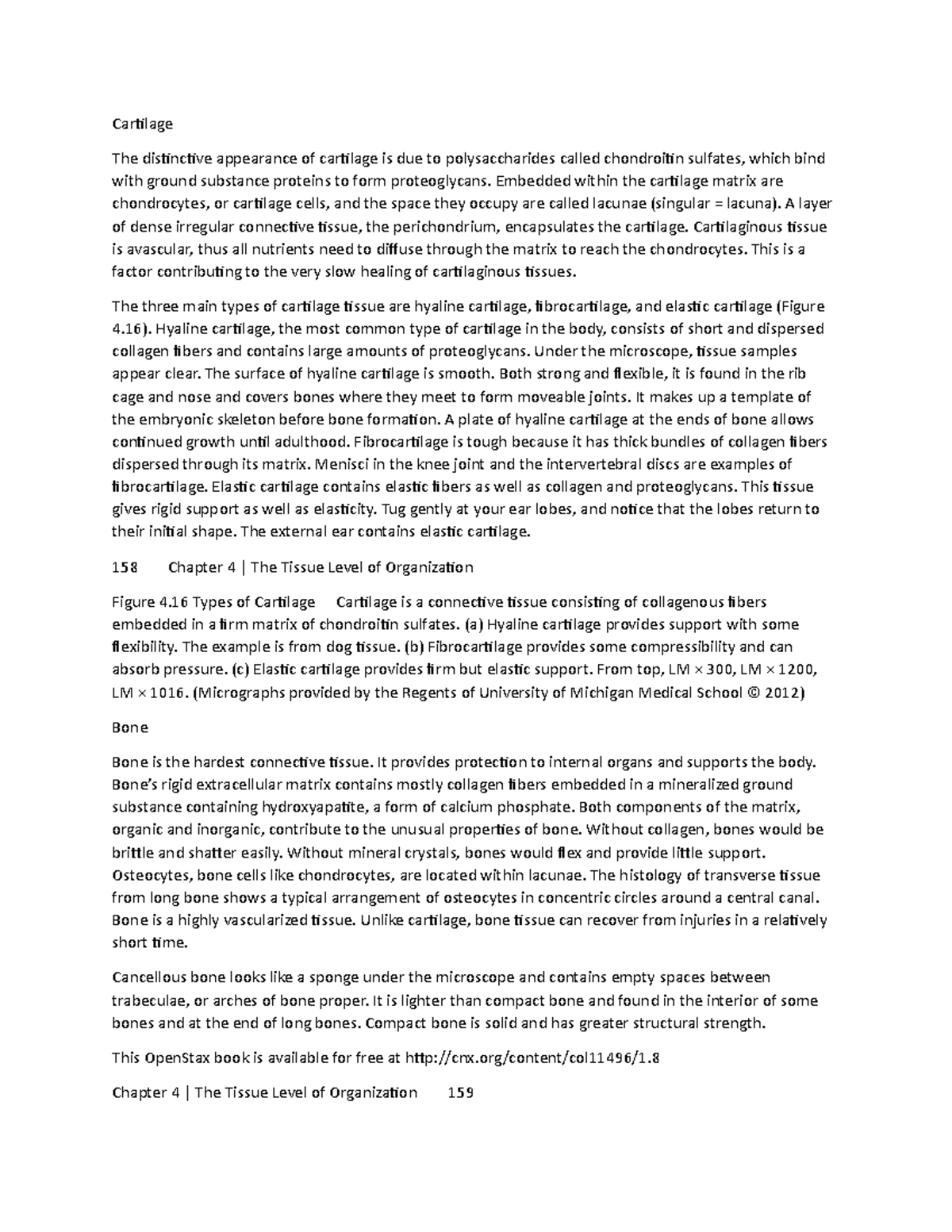 Document (10) - Notes - Cartilage The distinctive appearance of ...