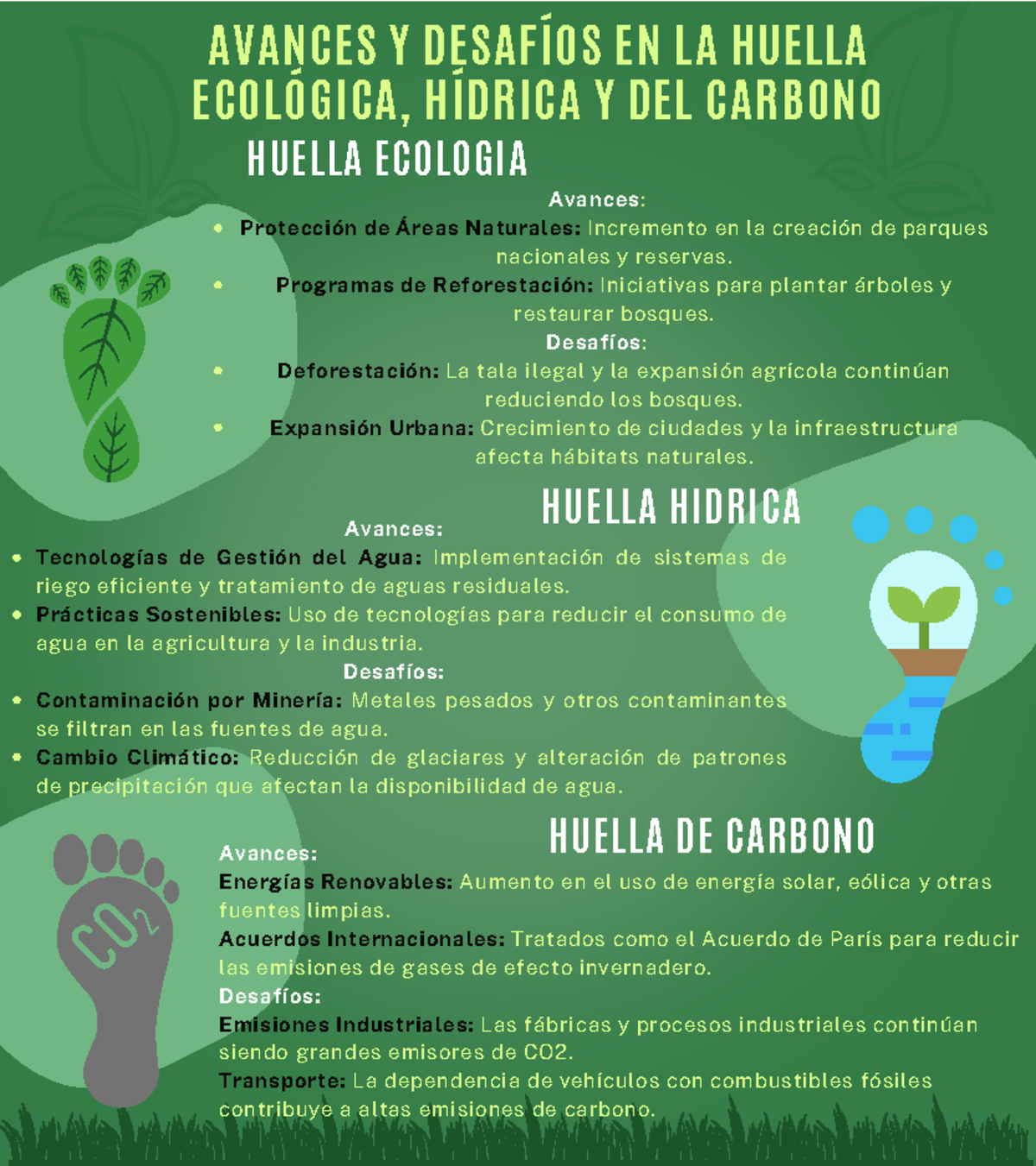 Infografia huellas - AVANCES Y DESAFÍOS EN LA HUELLA ECOLÓGICA, HÍDRICA ...