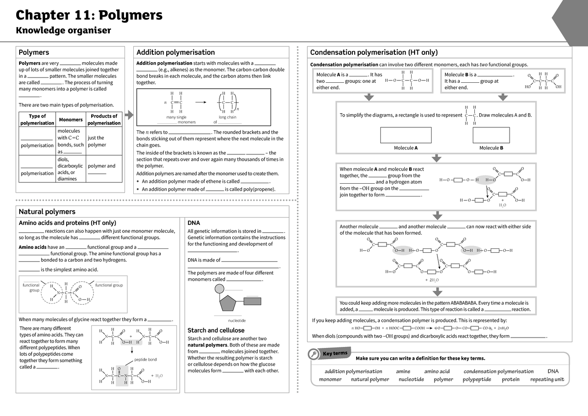 C11 test yourself - It will be helpful trudt - Chapter 11: Polymers ...