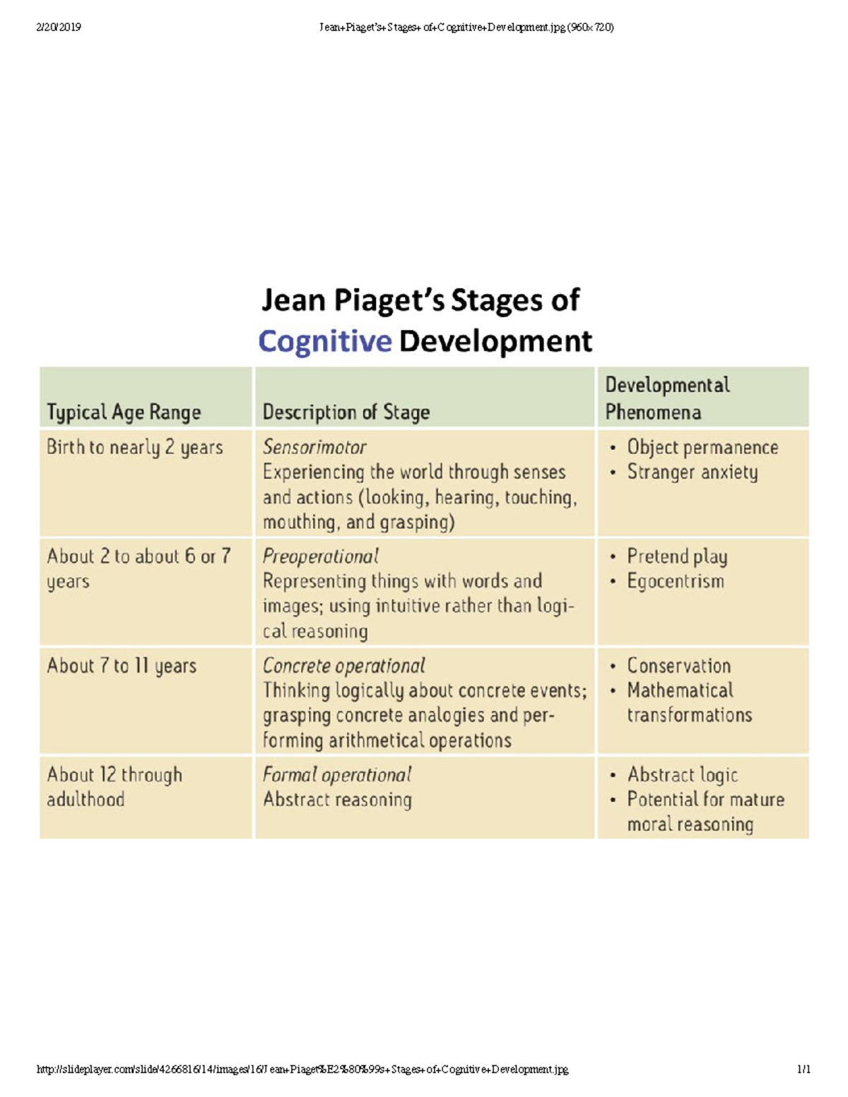 Operational thinking online piaget