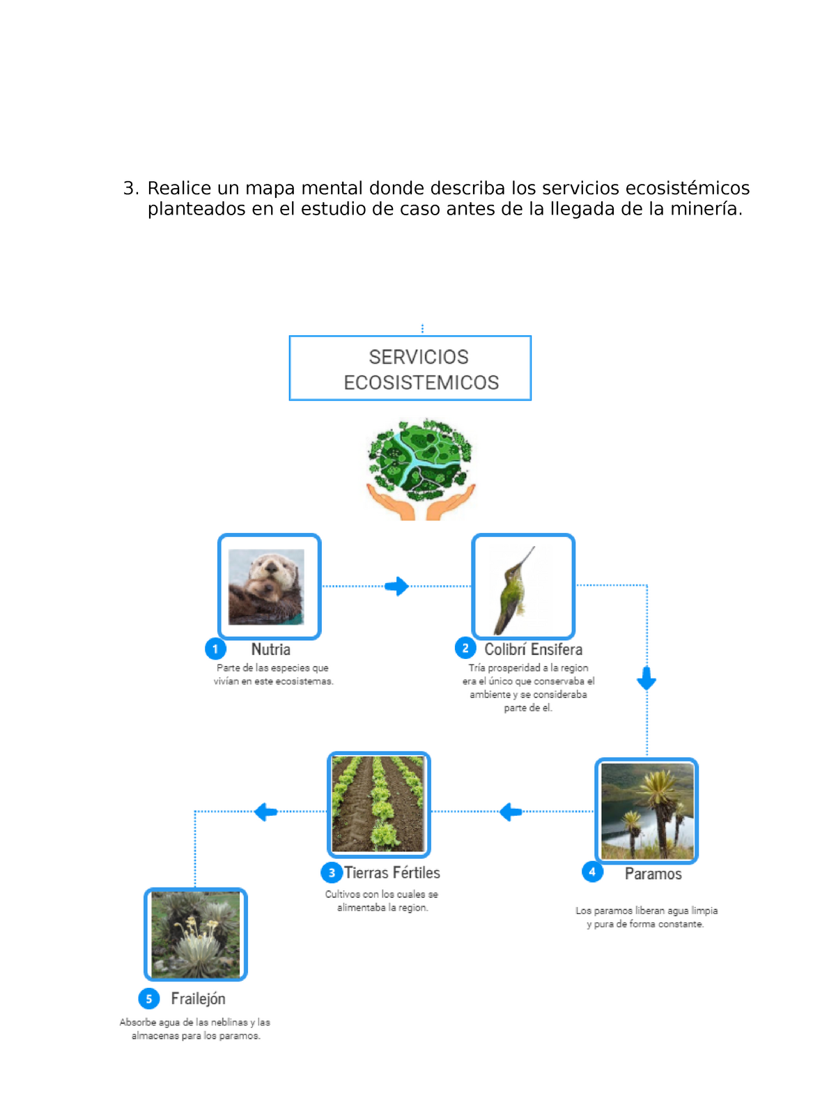 Trabajo final - 3. Realice un mapa mental donde describa los servicios  ecosistémicos planteados en - Studocu