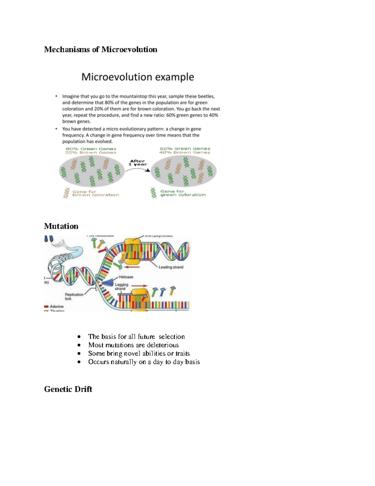 BIO1300: Evolution Pt. 3 - Mechanisms of Microevolution Mutation The ...