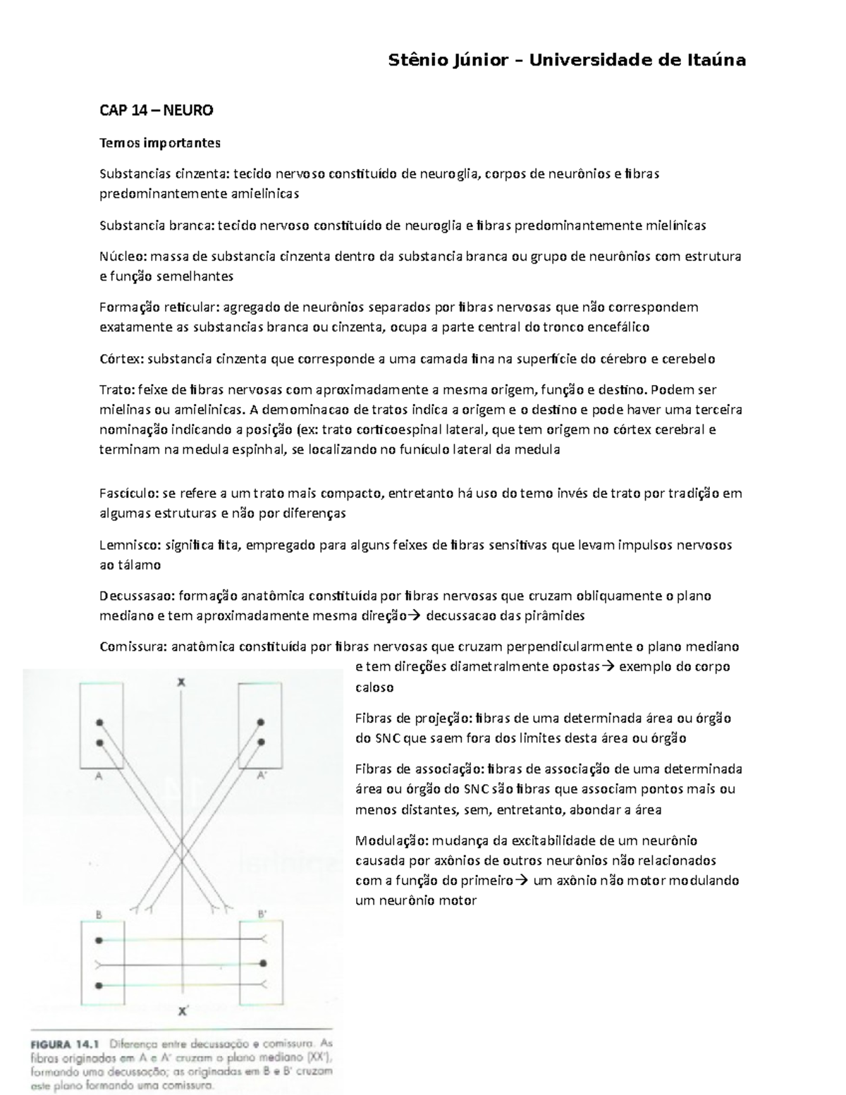 CAP 14 - Neuro - Ângelo Machado - Stênio Júnior – Universidade de ...