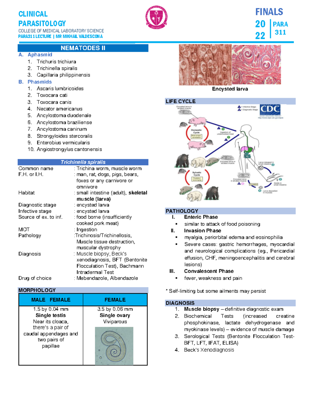 PARA311LEC Topic 1 - Nematodes II - CLINICAL PARASITOLOGY COLLEGE OF ...