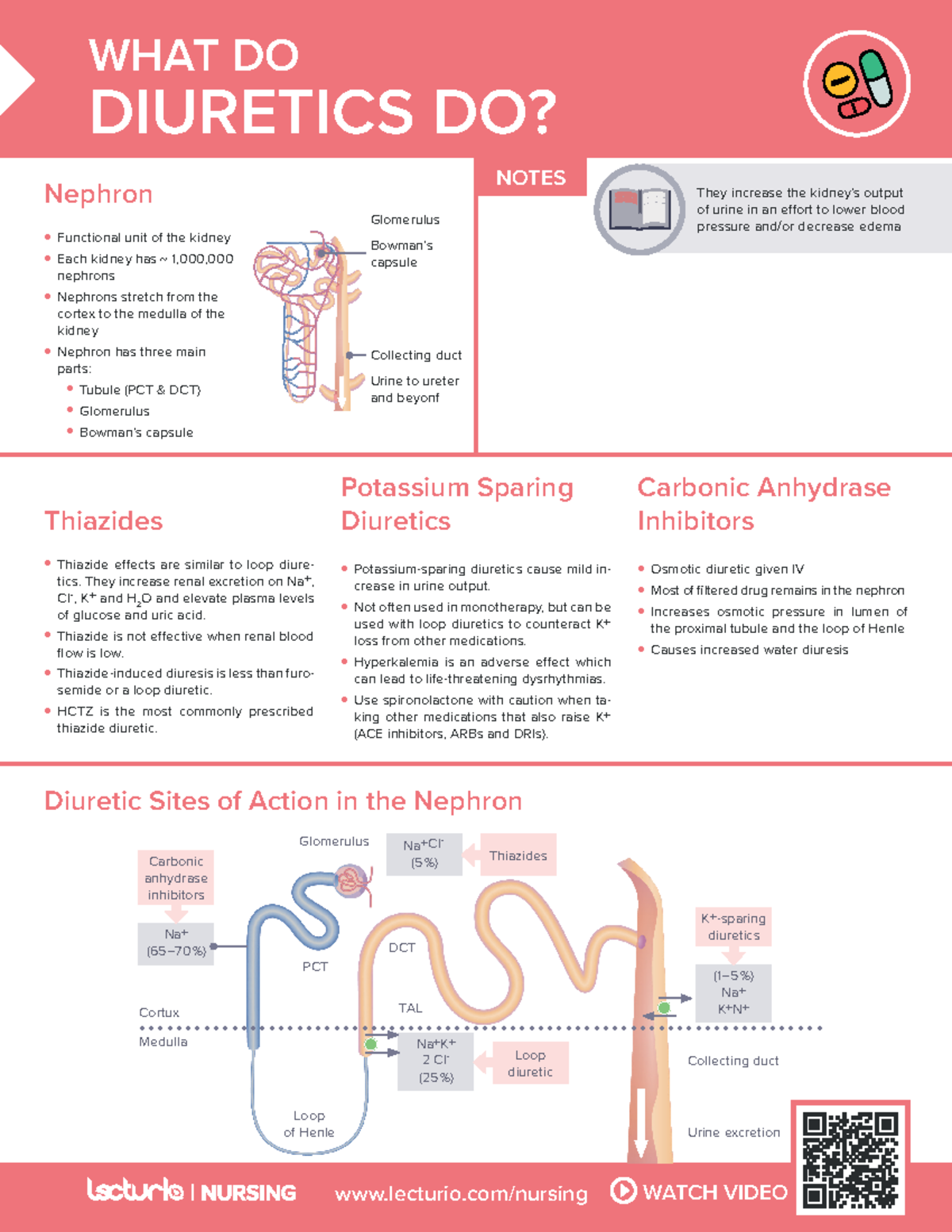 Nursing CS What-do-diuretics-do - WHAT DO DIURETICS DO? lecturio ...