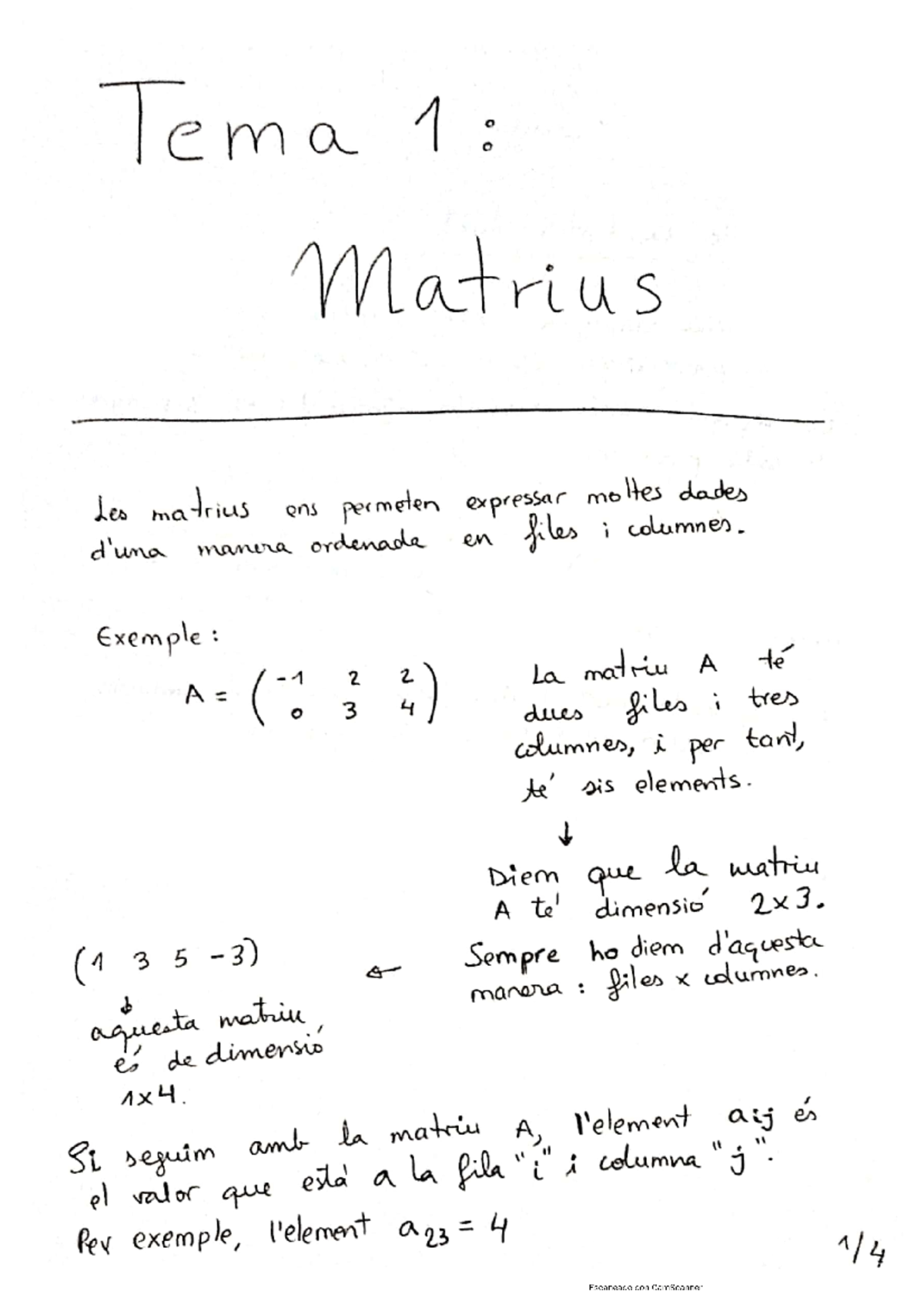 01. Apunts Matrius definició i tipus - mates 2n batx - Studocu