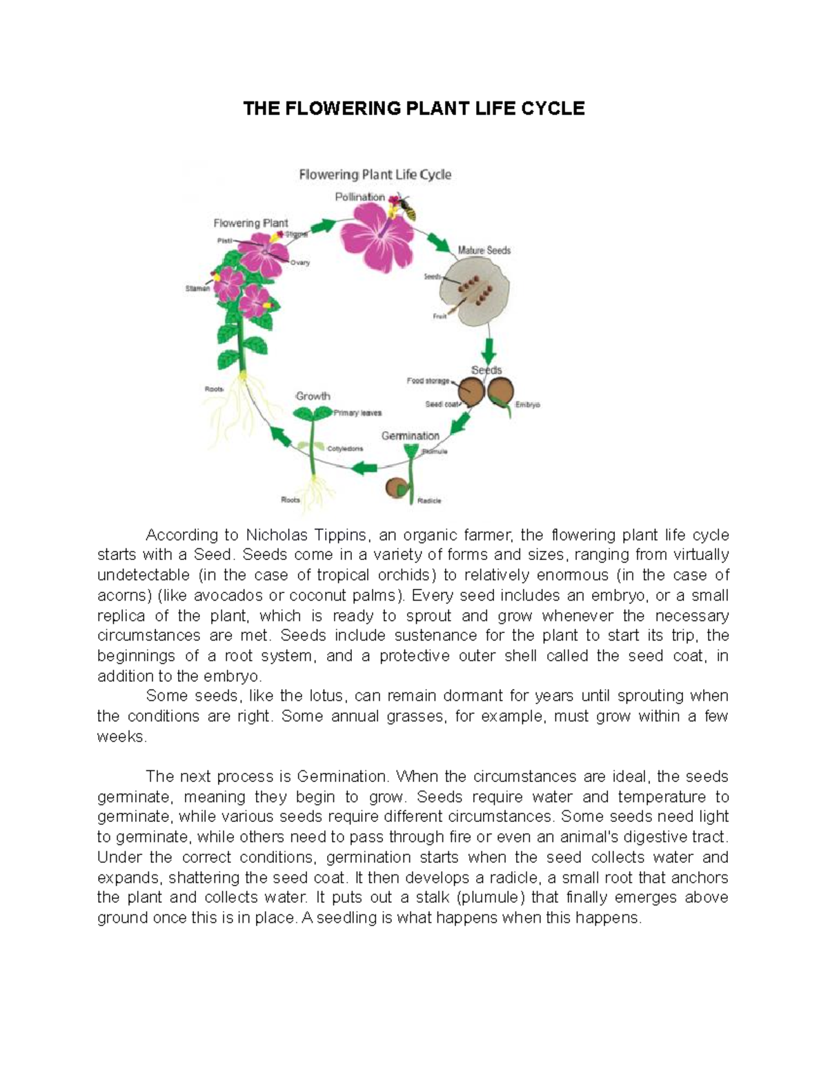 Plant Life Cycle The Flowering Plant Life Cycle According To Nicholas Tippins An Organic 7903