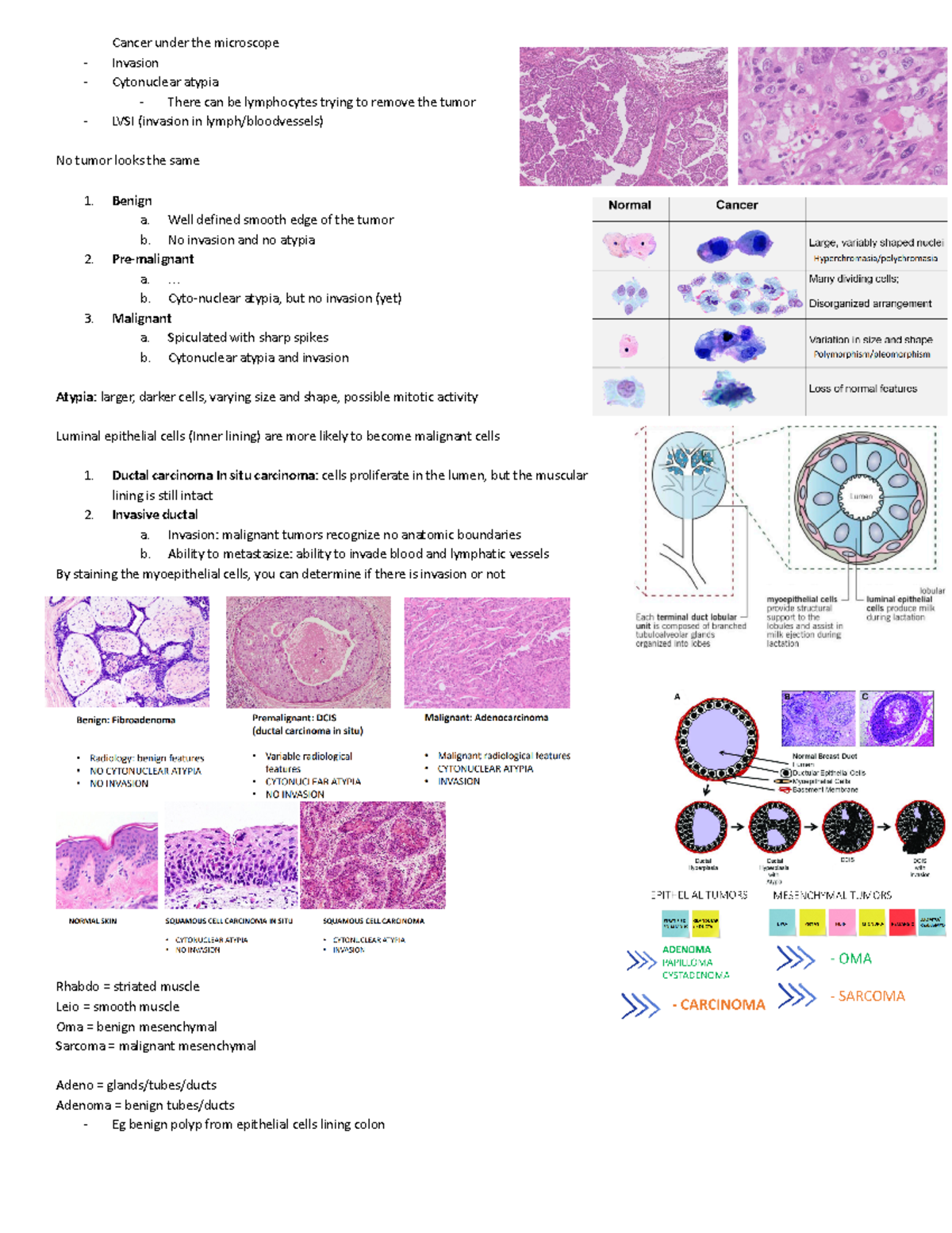 HC11 General principles Pathology diagnostics - Cancer under the ...