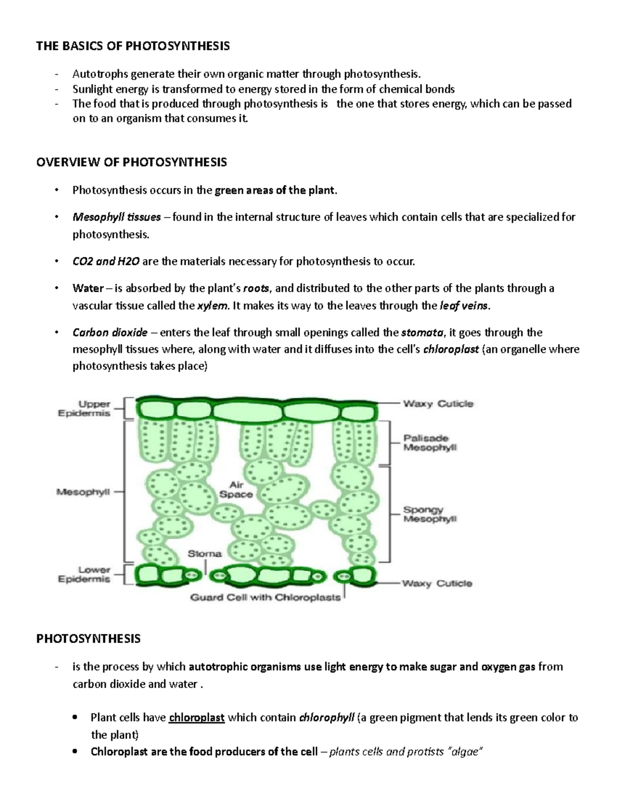 Lecture notes about Photosynthesis (Meaning, Process, Two parts of ...