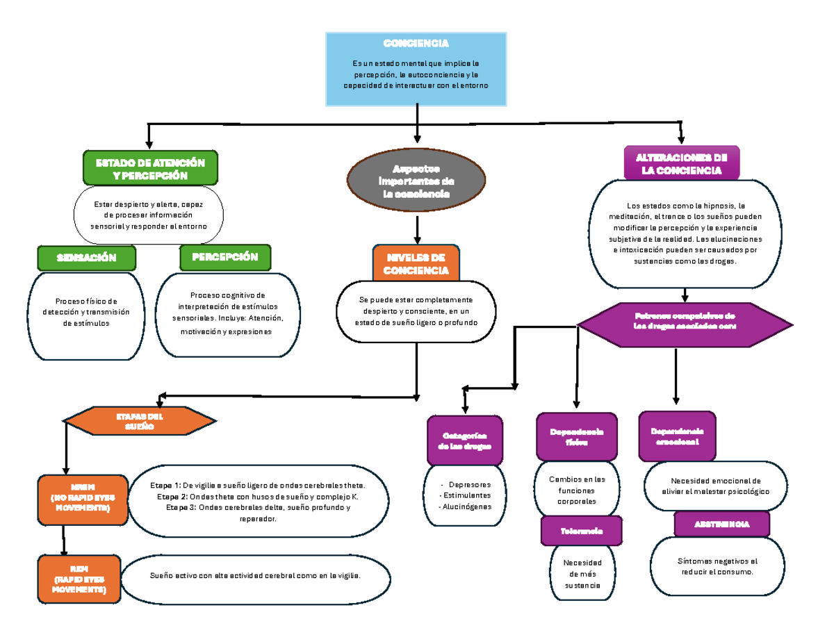 Mapa Conceptual La Conciencia Conciencia Es Un Estado Mental Que Implica La Percepción La