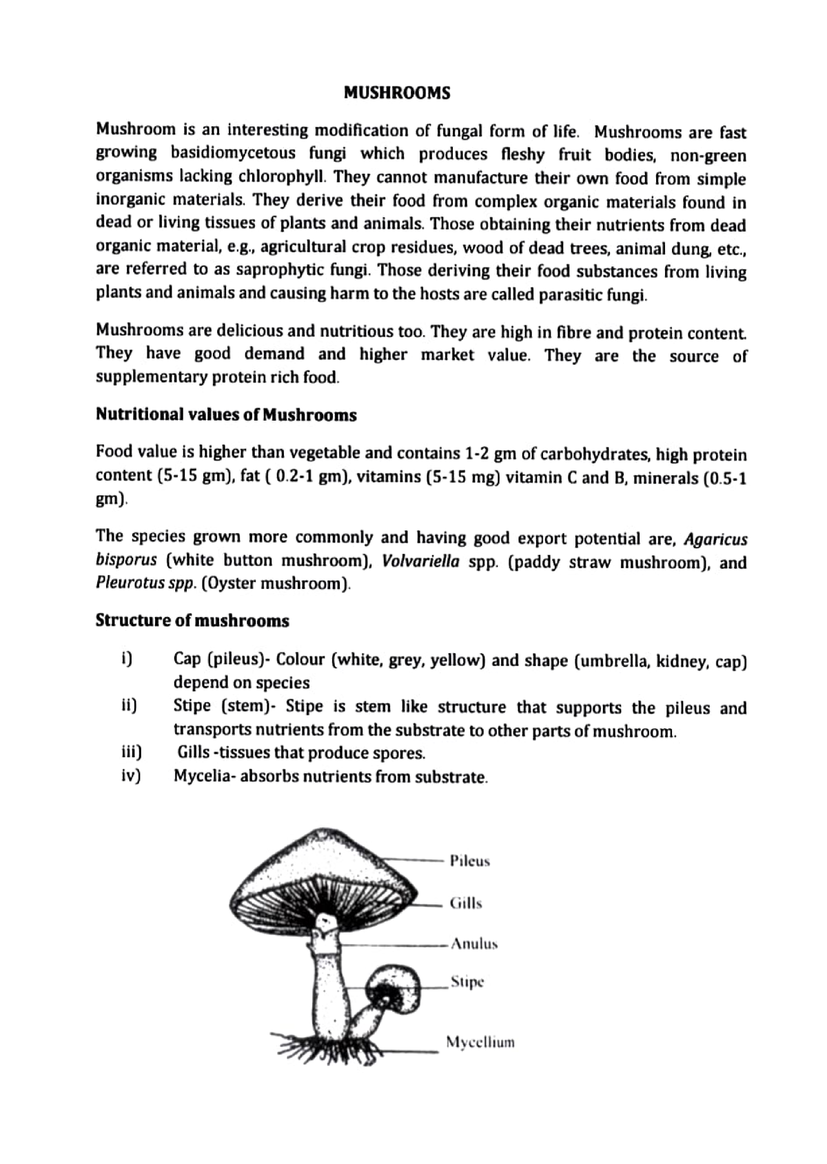 Mushroom - Mushrooms are fast growing basidiomycetous fungi which ...