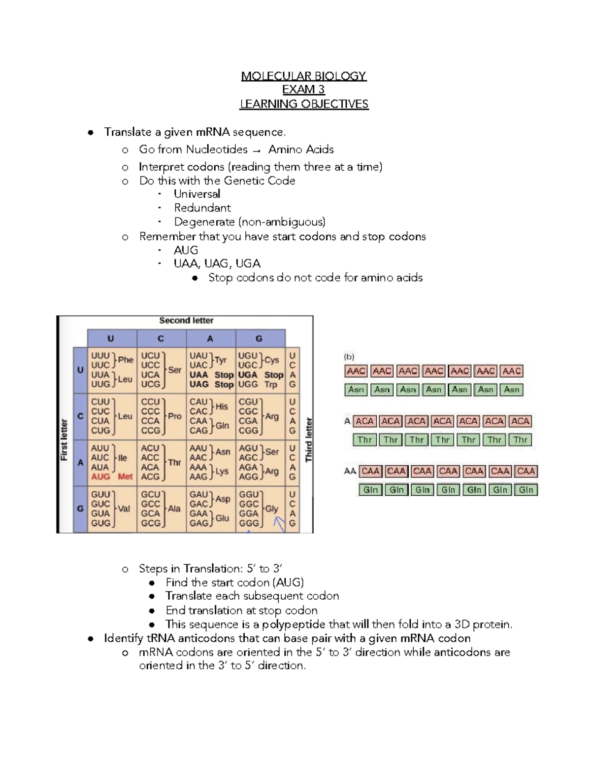 MB Learning Objectives Exam 3 mRNA MOLECULAR BIOLOGY EXAM 3 LEARNING