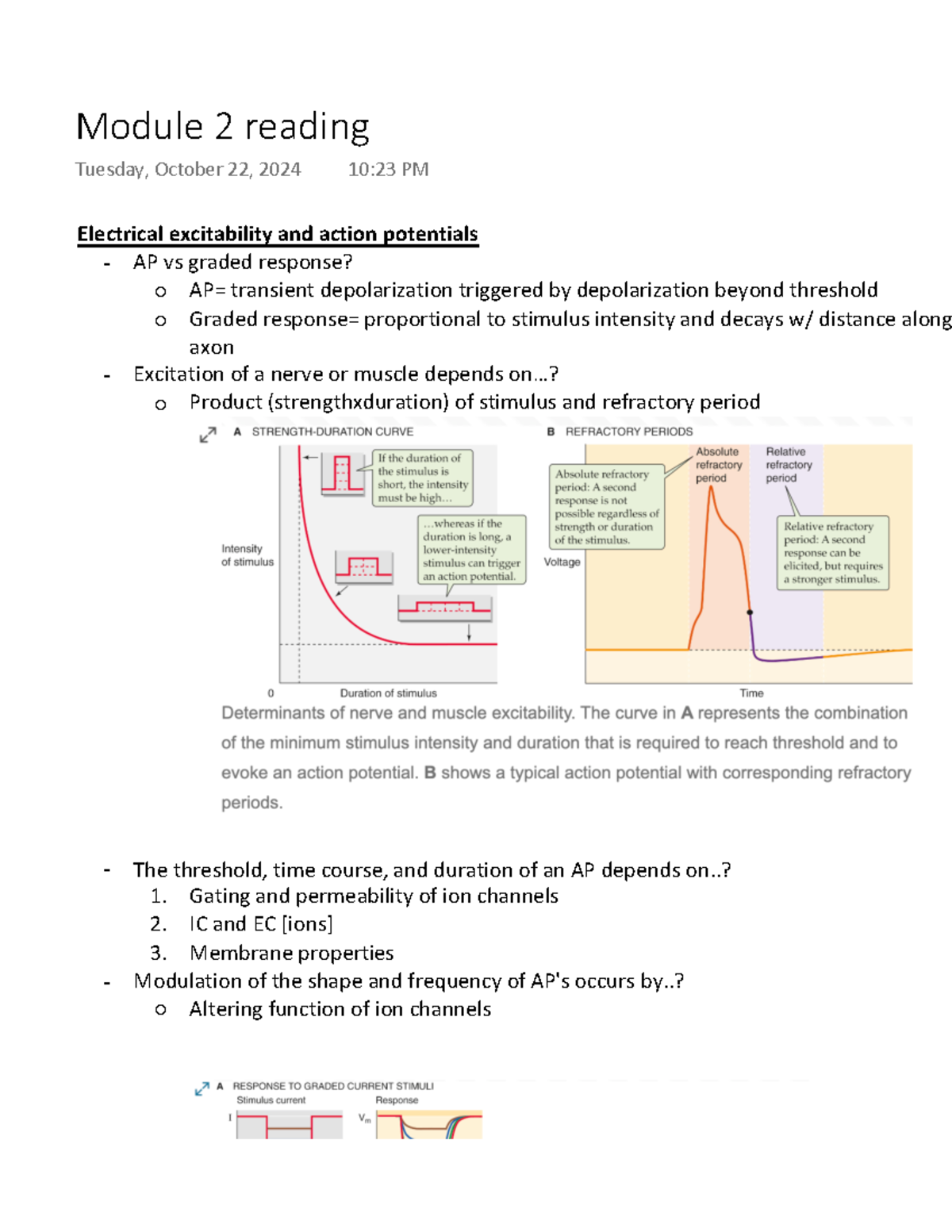 Neur 301 review - Summary Fundamental Neuroscience: Intercellular ...