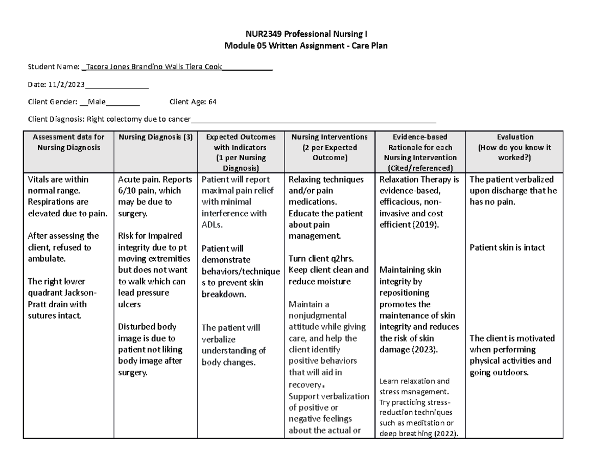 NUR2349Module 05Written Assignment-Care Plan - NUR2349 Professional ...