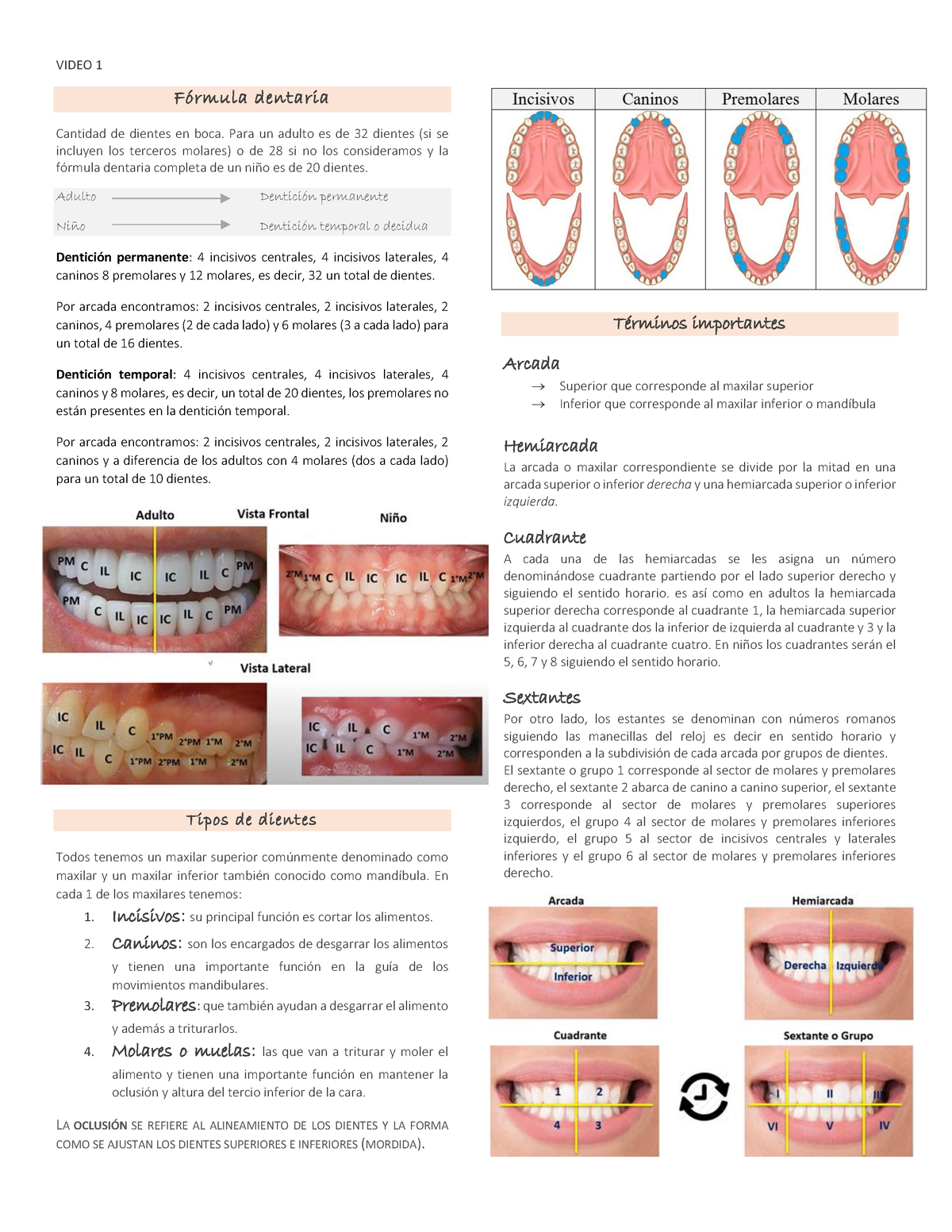 Unidad 2 Clase 1. Fórmulas-Nomenclaturas-Partes Del Diente. Karla R ...