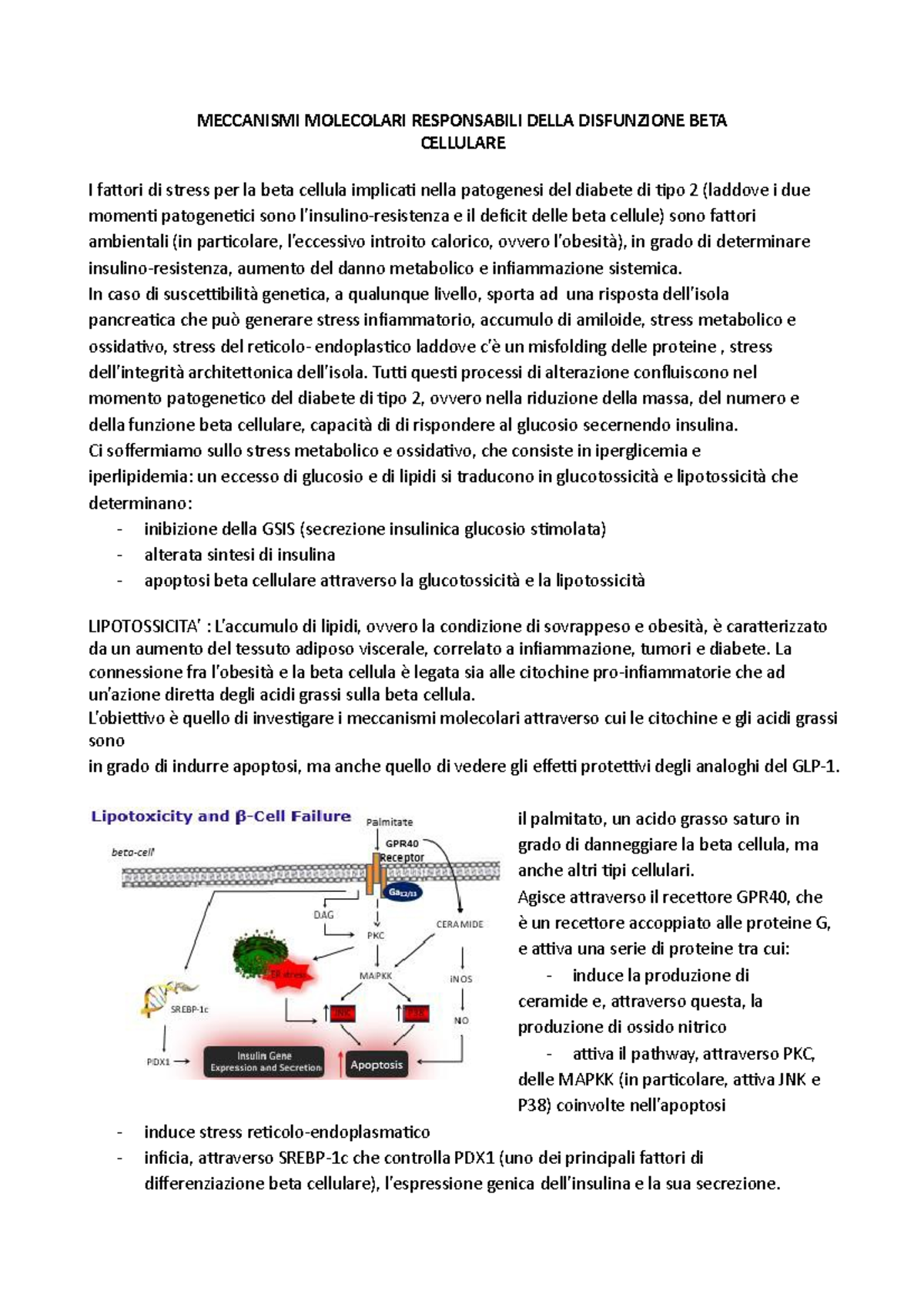 8 Lezione Endocrinologia - MECCANISMI MOLECOLARI RESPONSABILI DELLA ...