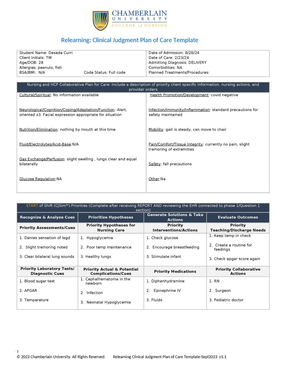 Relearning Clinical Judgment Plan of Care Template Sept23 Relearning