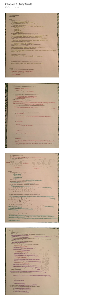 Cell Membrane Bubble Lab+%283%29 - Cell- Membran... Cell-Membrane ...