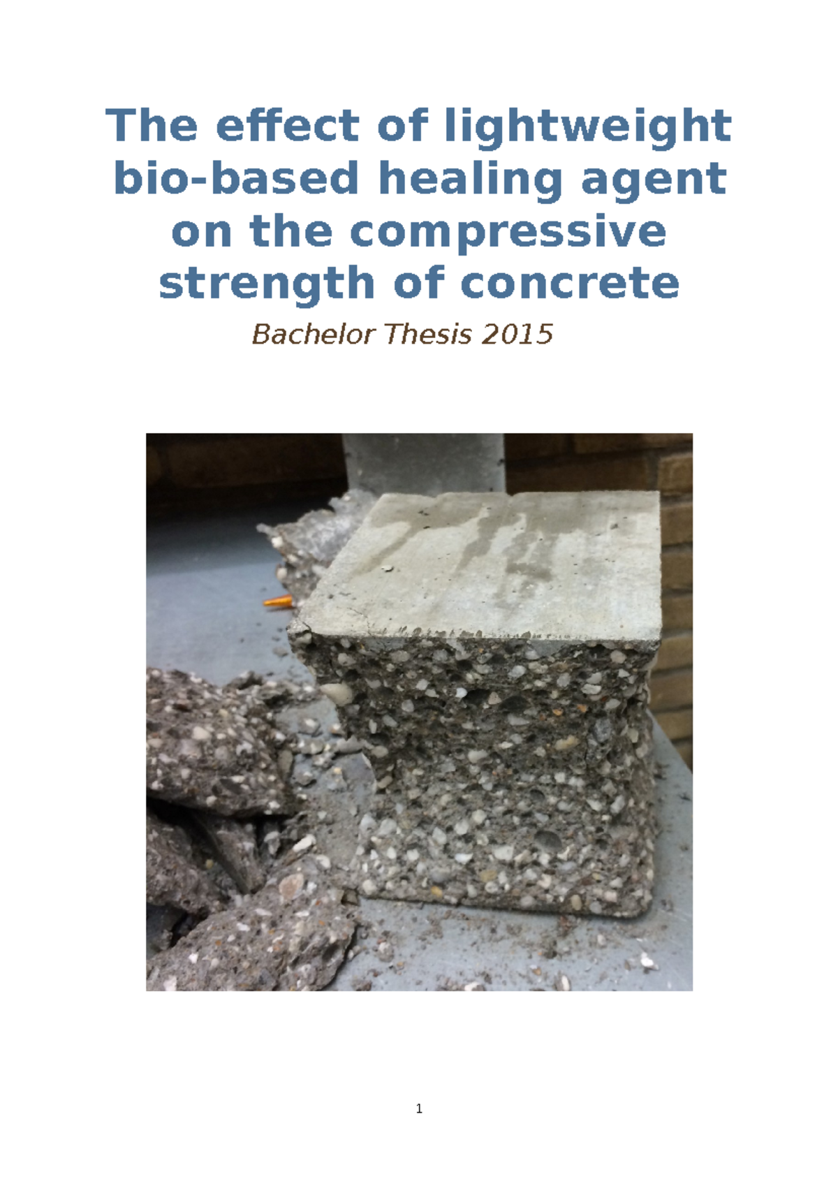 Bachelor thesis defense image