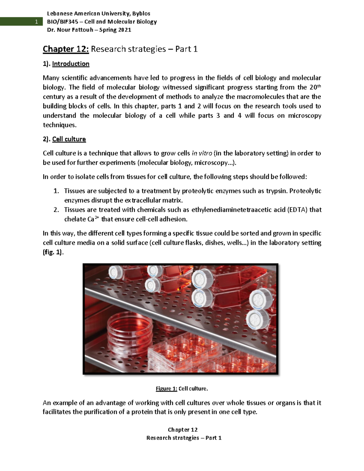 Lecture notes - Chapter 12 - Chapter 12 1 BIO/BIF345 – Cell and ...