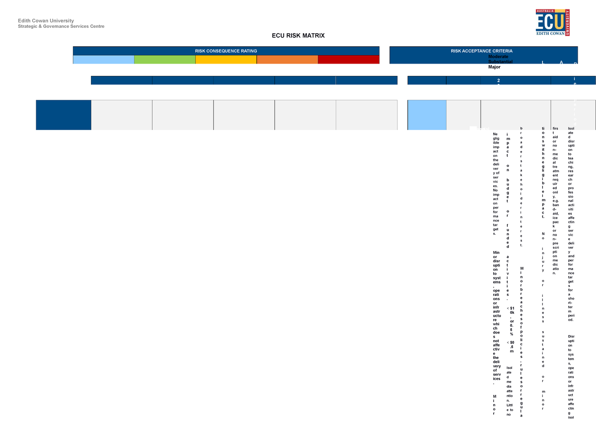 Risk matrix template 30 - Edith Cowan University Strategic & Governance ...