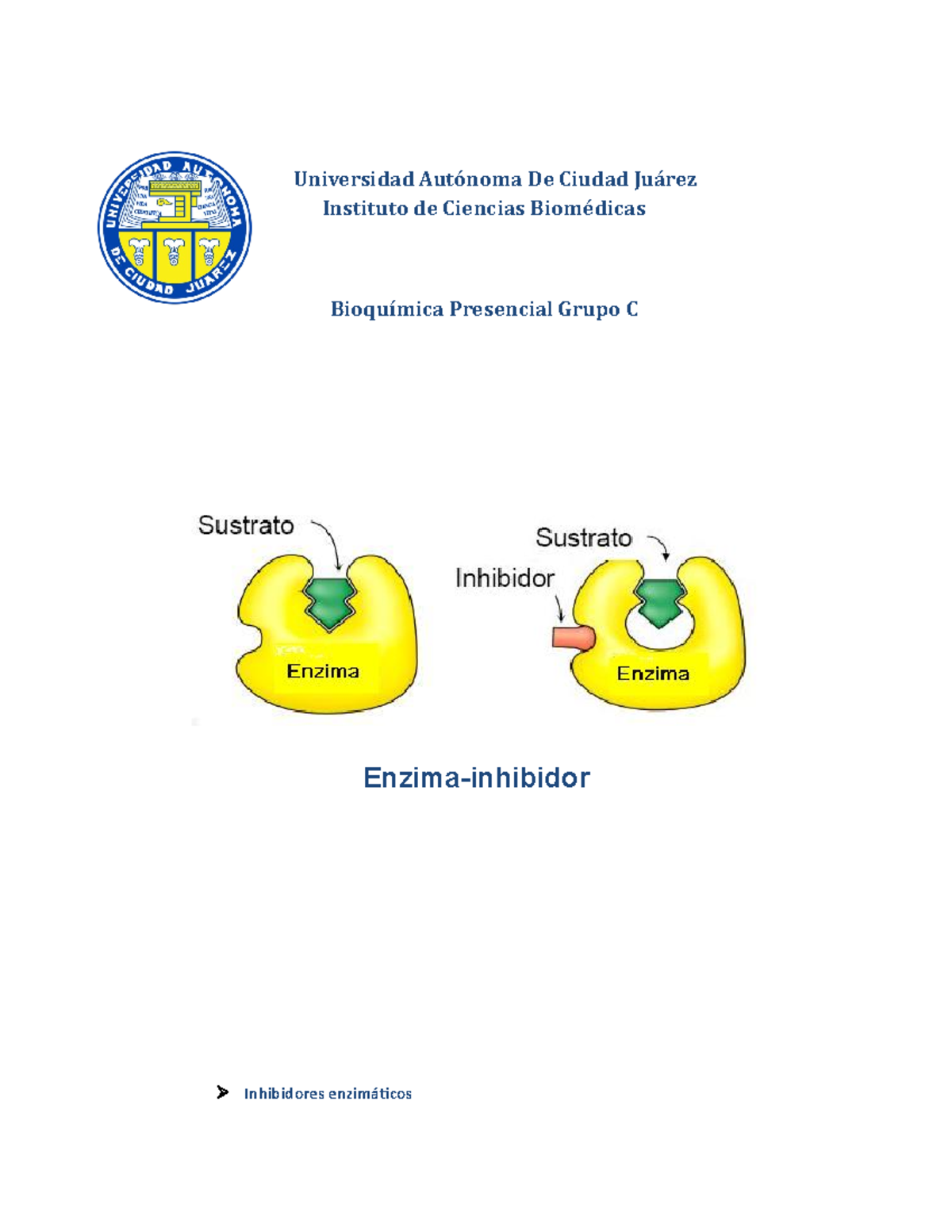 Enzima-inhibidor - Los inhibidores enzimáticos pueden disminuir o