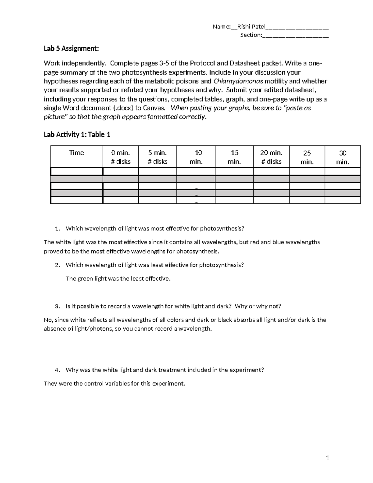 photosynthesis extra credit assignment