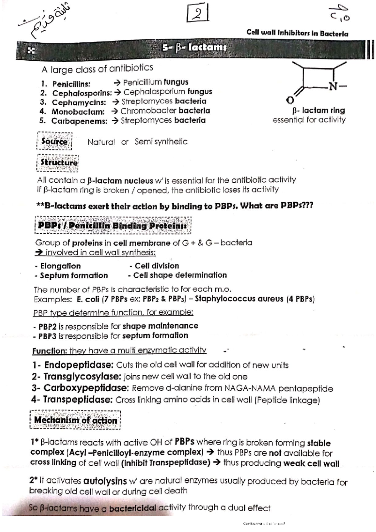 Lec 2 Micro Medical Microbiology Studocu Lec 2 Micro Medical Microbiology Studocu
