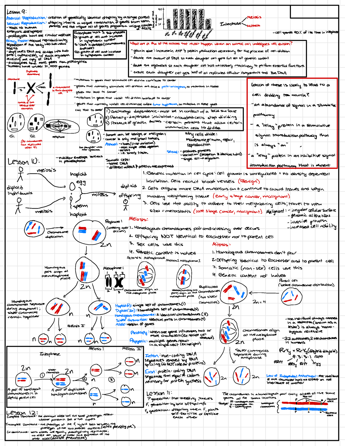 Exam 2 Cheat Sheet Lesson 9 47 T É F F F F Meiosis • Sexual Reproduction Offspring 1869