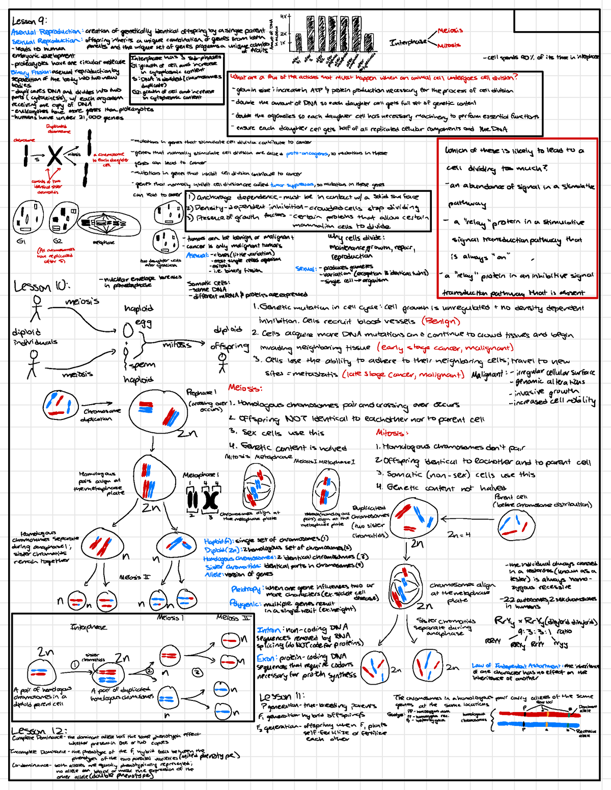 Exam 2 Cheat Sheet Lesson 9 47 T É F F F F Meiosis • Sexual Reproduction Offspring 7534