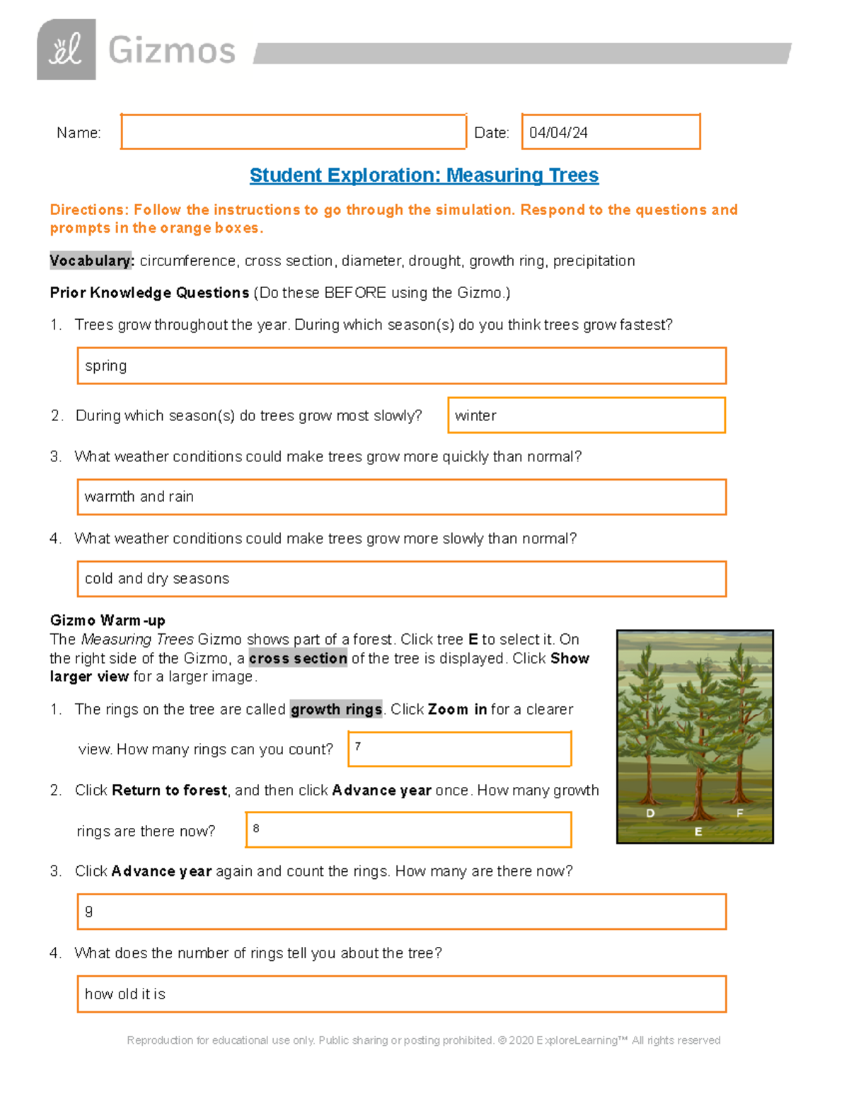Copy of Copy of Measuring Trees SE - Name: Date: 04/04/ Student ...