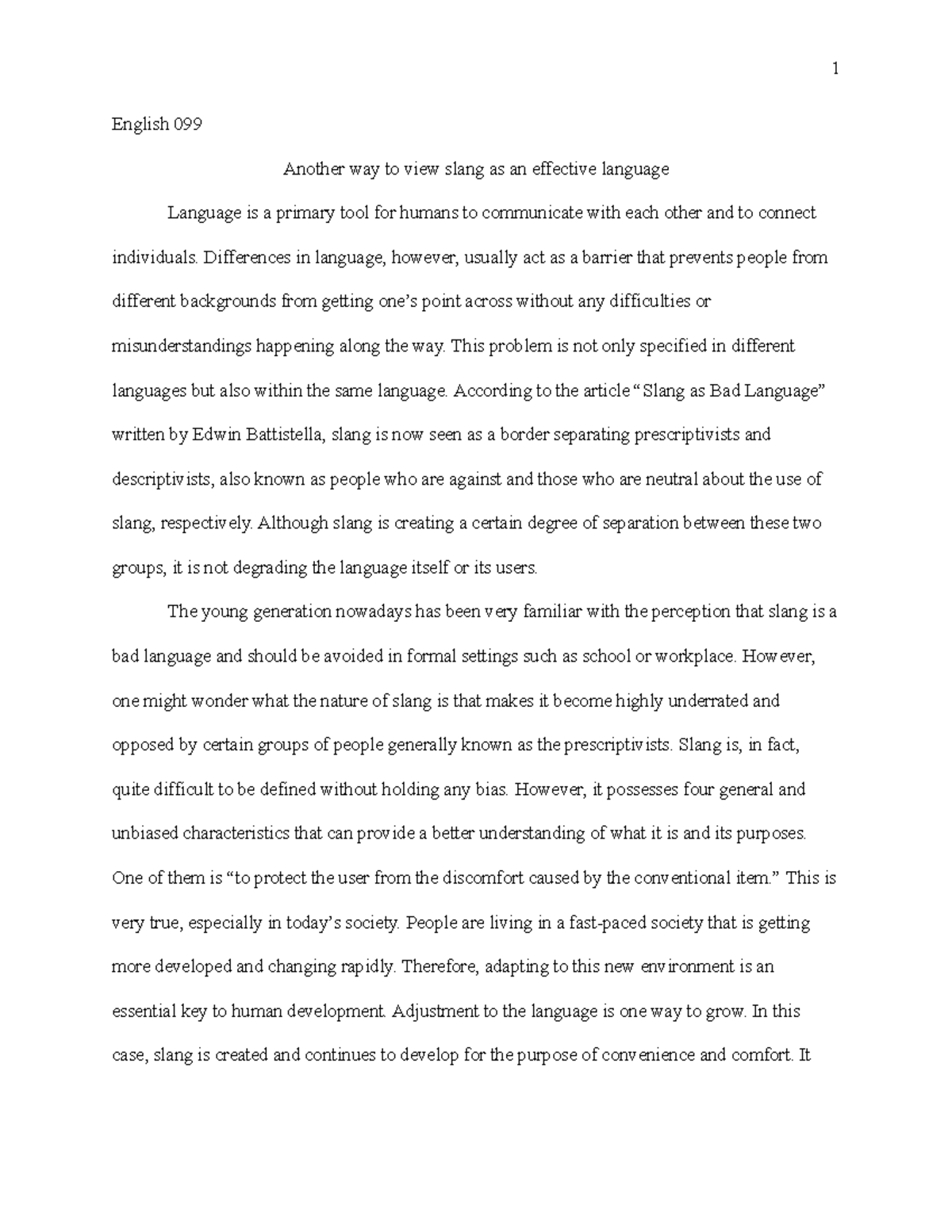 essay on slang language