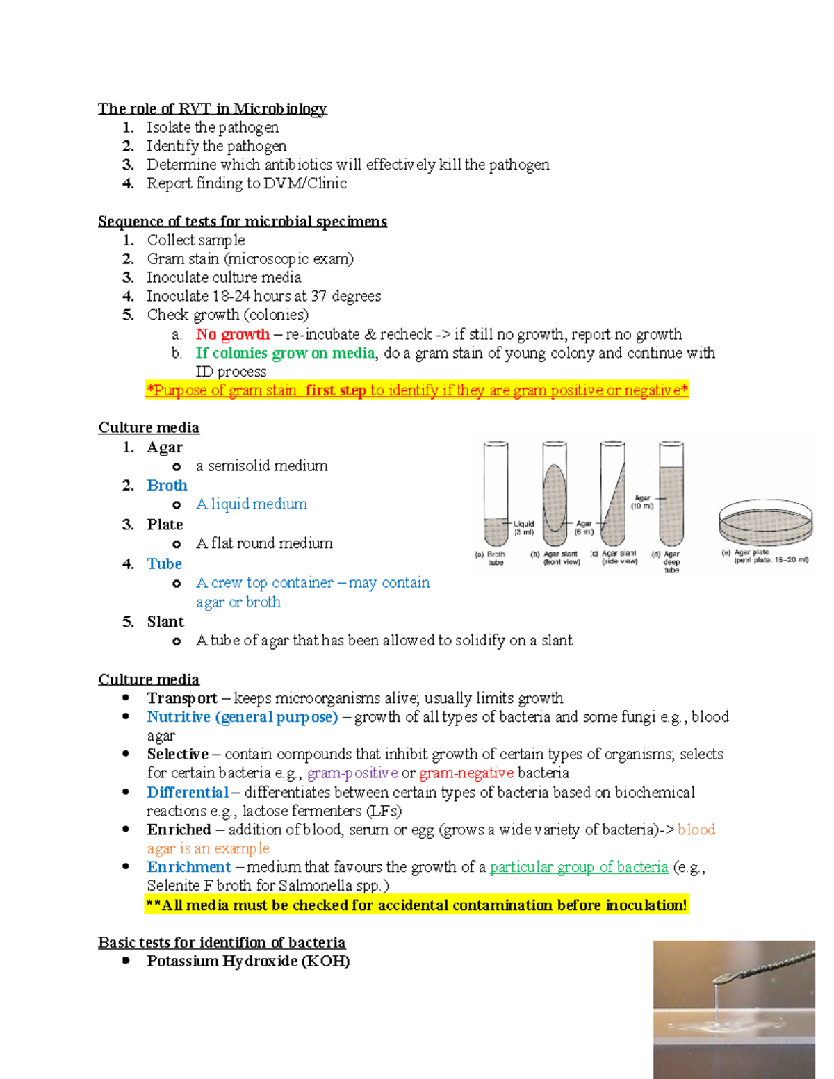 L2 summaries for microbiology - The role of RVT in Microbiology 1 ...