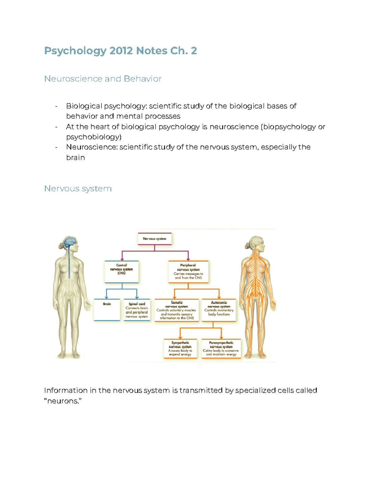 Psychology 2012 Notes Ch. 2 Neuroscience And Behavior - Studocu