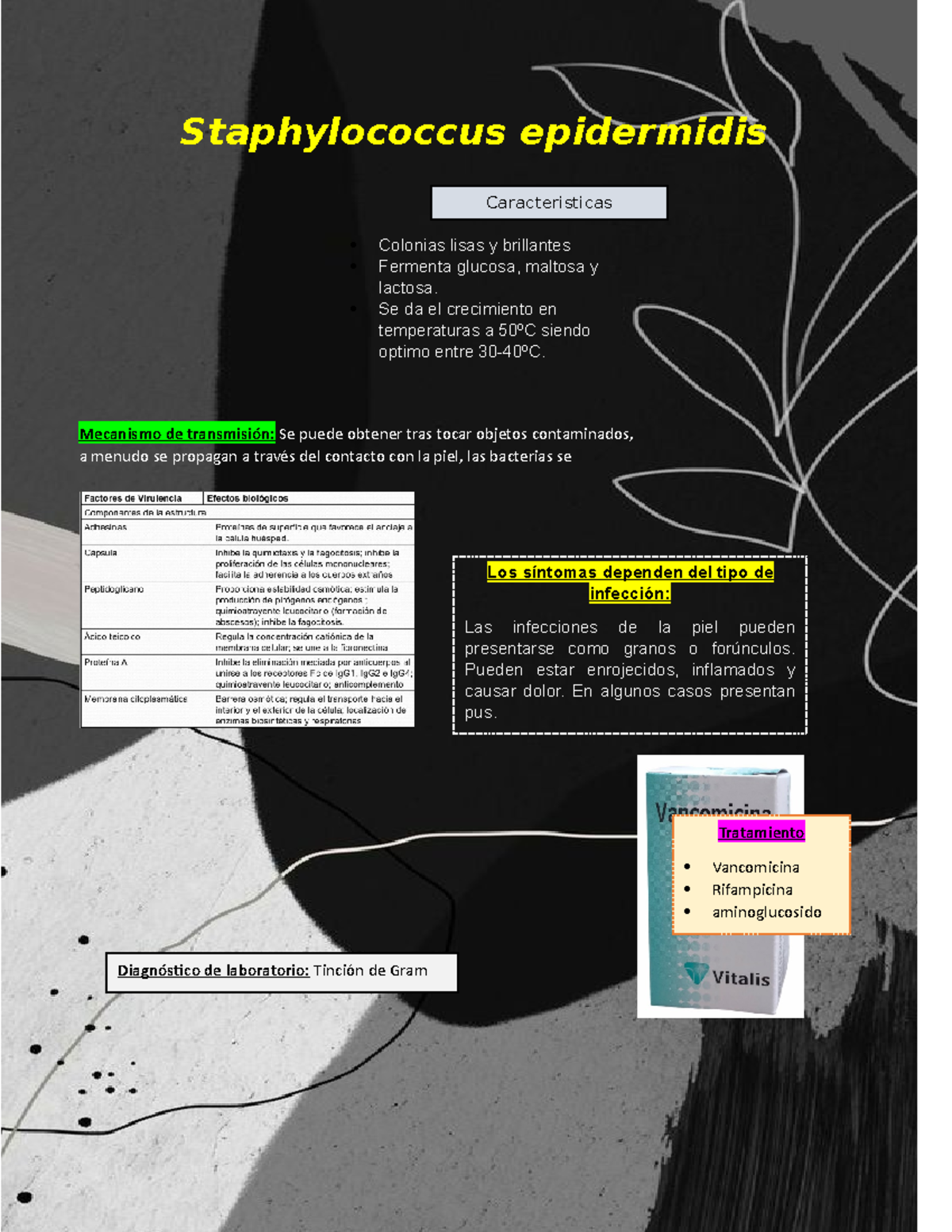 Staphylococcus Epidermidis Investigacion Staphylococcus Epidermidis