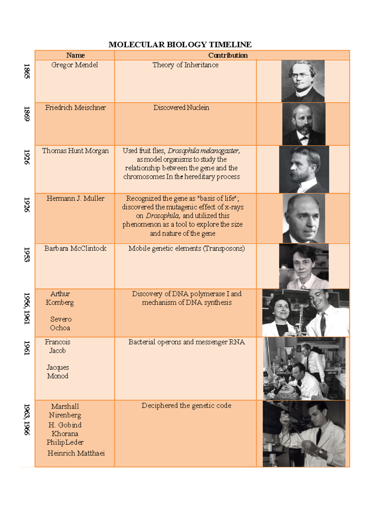 Mol Bio timeline inventors - MOLECULAR BIOLOGY TIMELINE Name ...