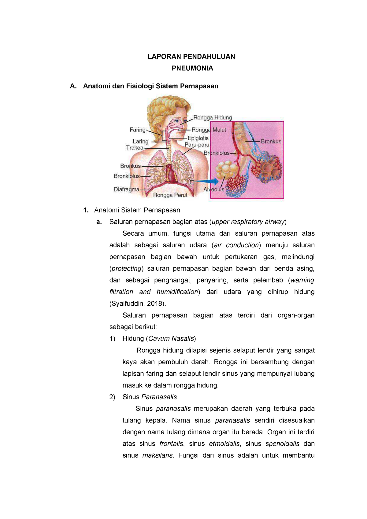 Anatomi Fisiologi Sistem Pernapasan Jendela Guru 0598