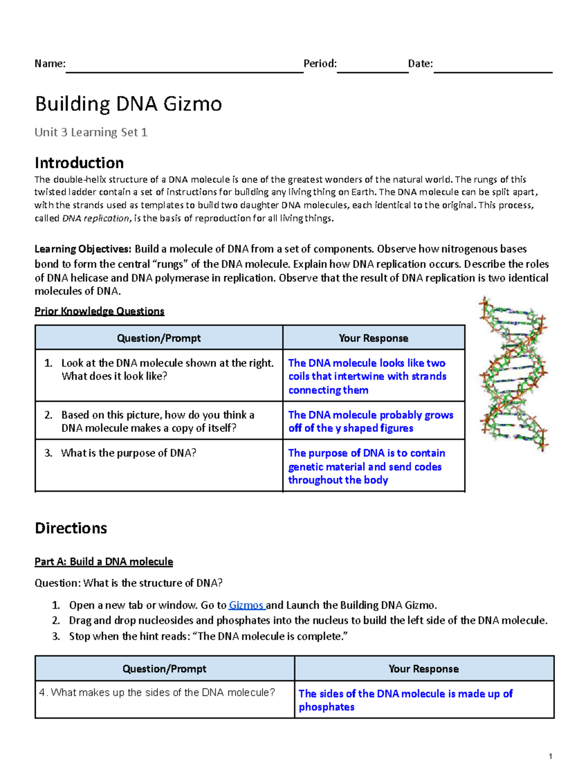 U3LS1 Building DNA Gizmo - Name: Period: Date: Building DNA Gizmo Unit ...