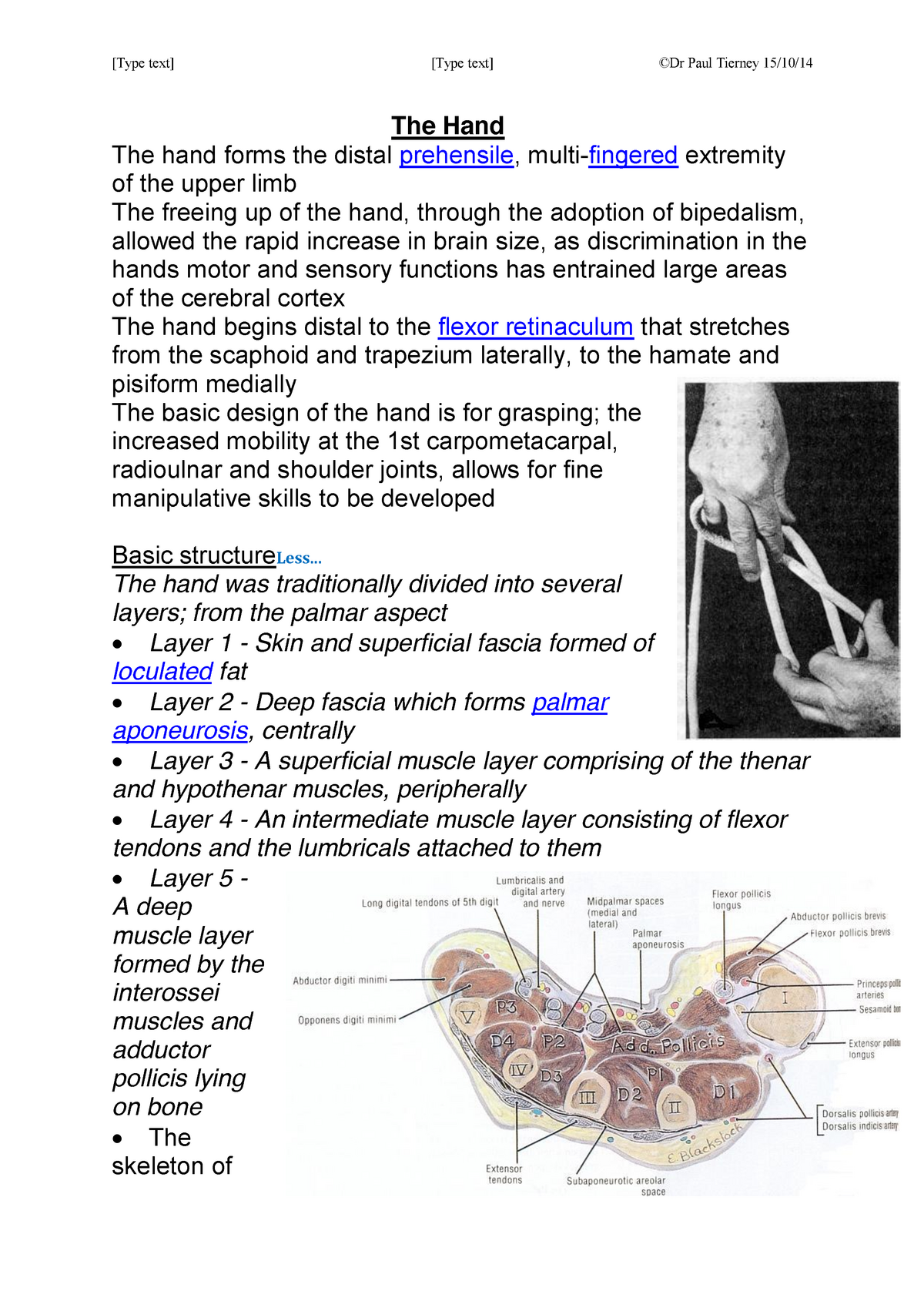 Complete anatomy of the Hand - [Type text] [Type text] ©Dr Paul Tierney ...