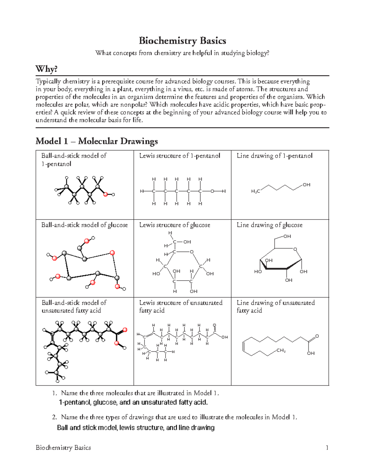 Biochemistry+Basics+ Pogil - Biochemistry Basics 1 Biochemistry Basics ...