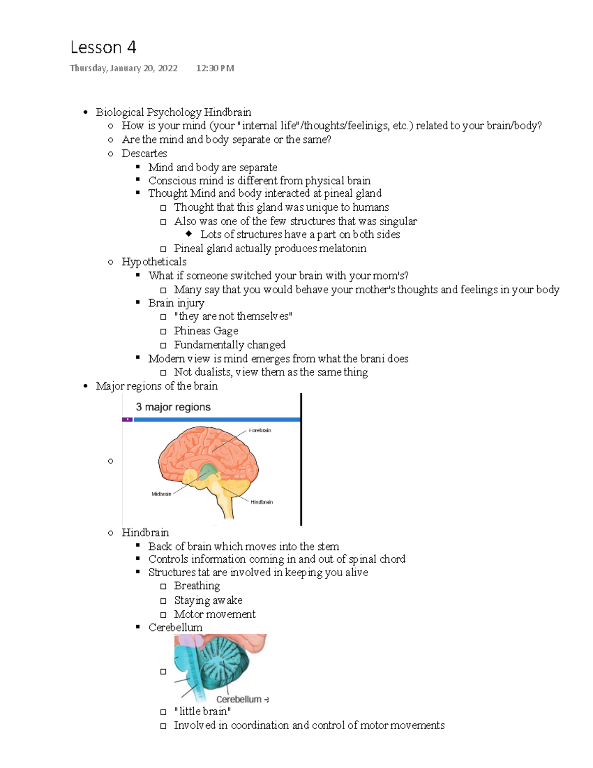 Psych 10 Lesson 4 Notes - Biological Psychology Hindbrain How Is Your ...