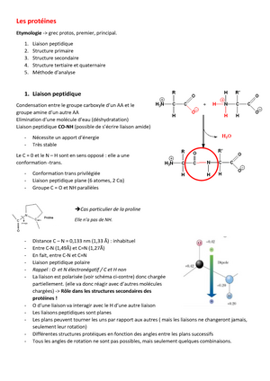 Acides Nucléiques Biomolécules B - Acides Nucléiques Les Nucléotides ...